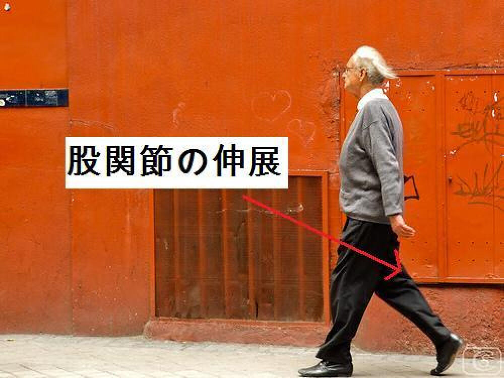 痛みの原因はシステムの異常