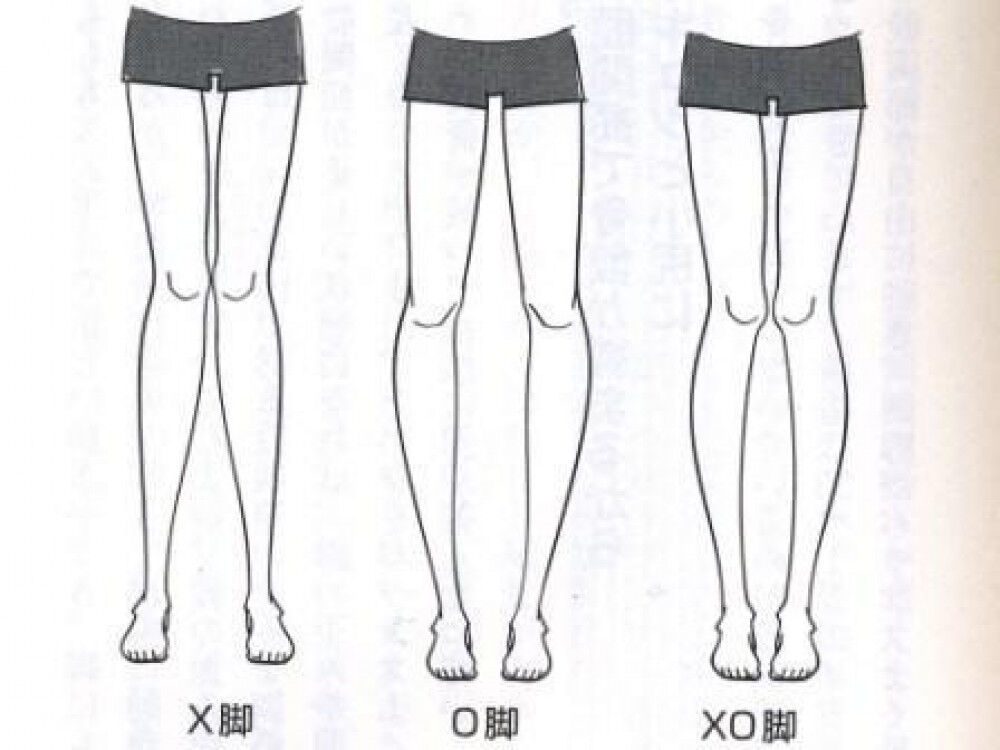 脚のライン