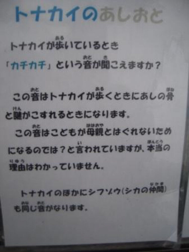 [弾発股] 股関節から音が鳴る
