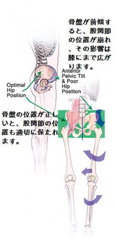 [歩行教室] 参加者の声