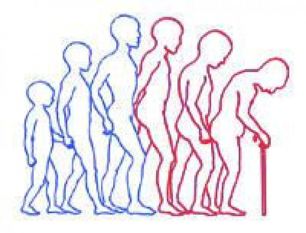 [変形性股関節症] 40歳からの生活の仕方