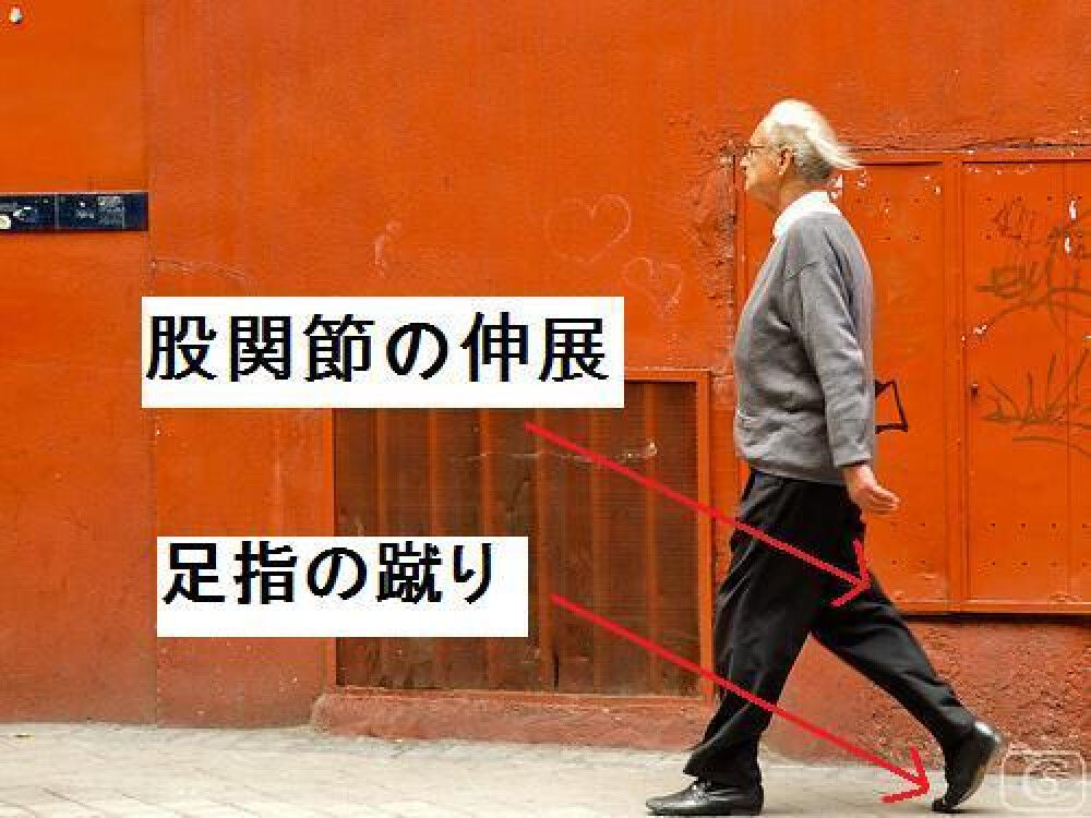 [股関節の使い方] 日本人と欧米人の歩き方の違い