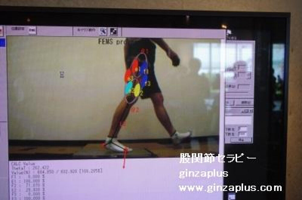 [正しい歩きの実践] 後半が勝負