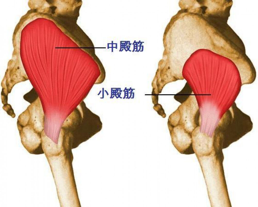 [腸腰筋] 人工股関節 手術後の筋力トレーニング