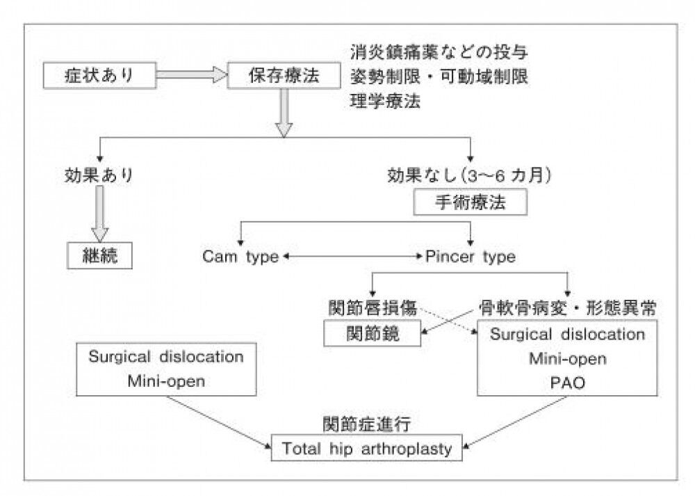 [基本理念と加齢] 股関節唇損傷の実際