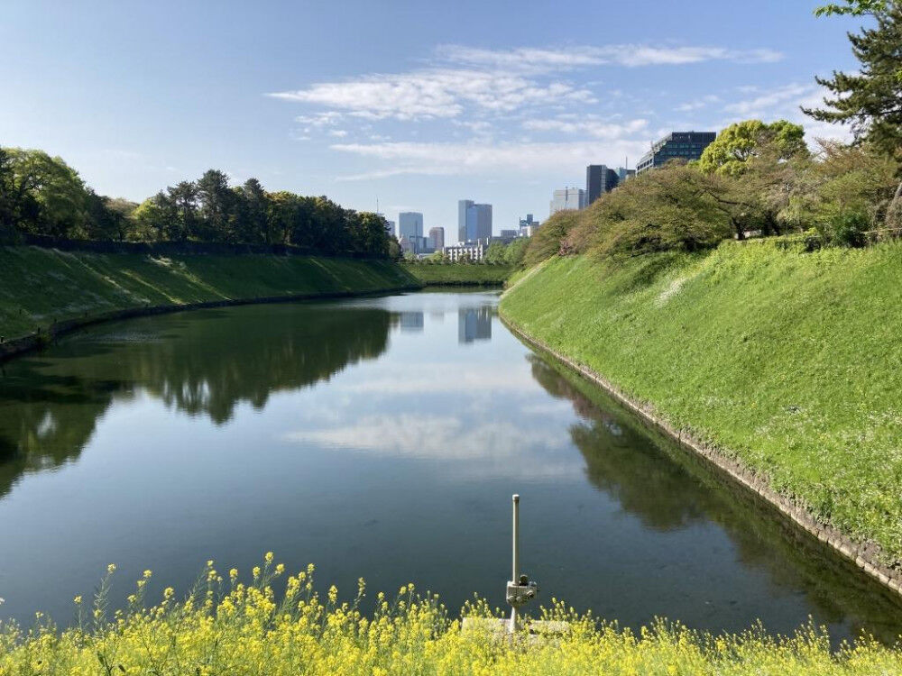 東京・銀座 4月 施術枠のご案内です